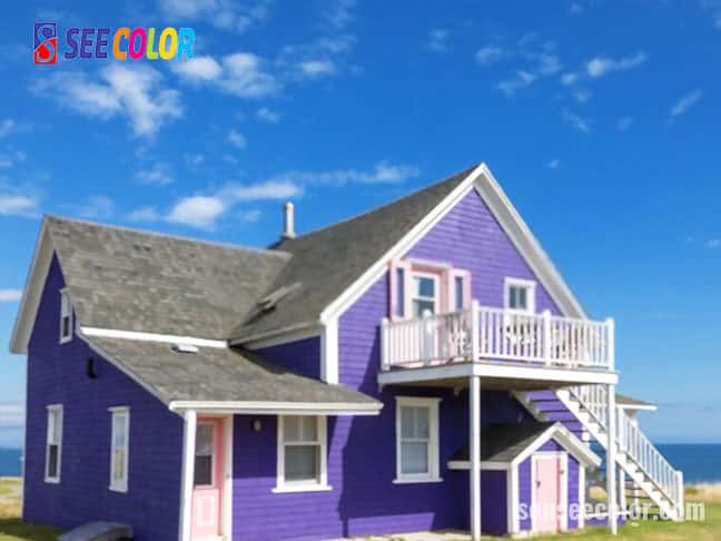 Ngôi nhà được sơn toàn bộ bằng màu tím